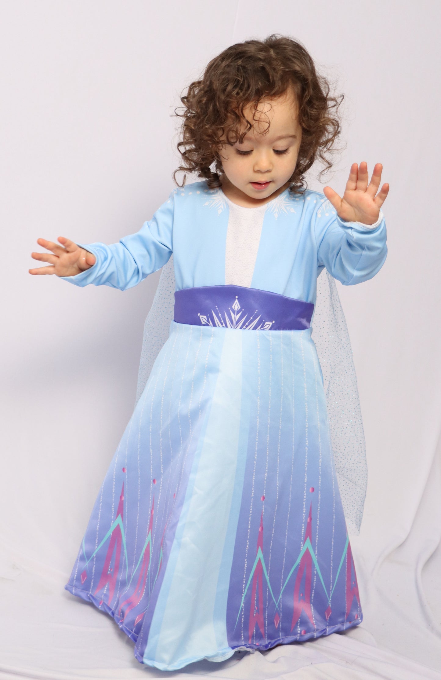 Disfraz Elsa de Frozen - Princesas Disney