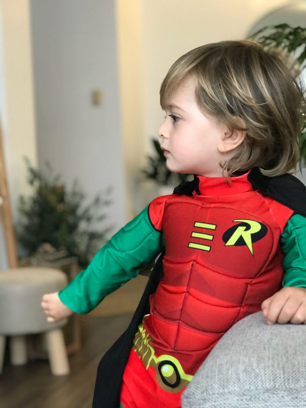 Disfraz Robin