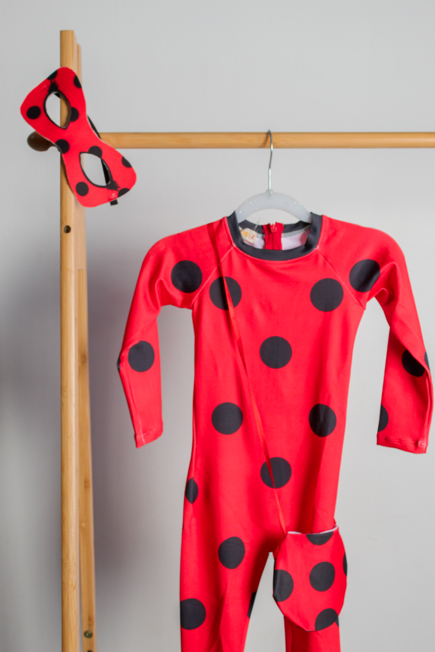 Disfraz Ladybug