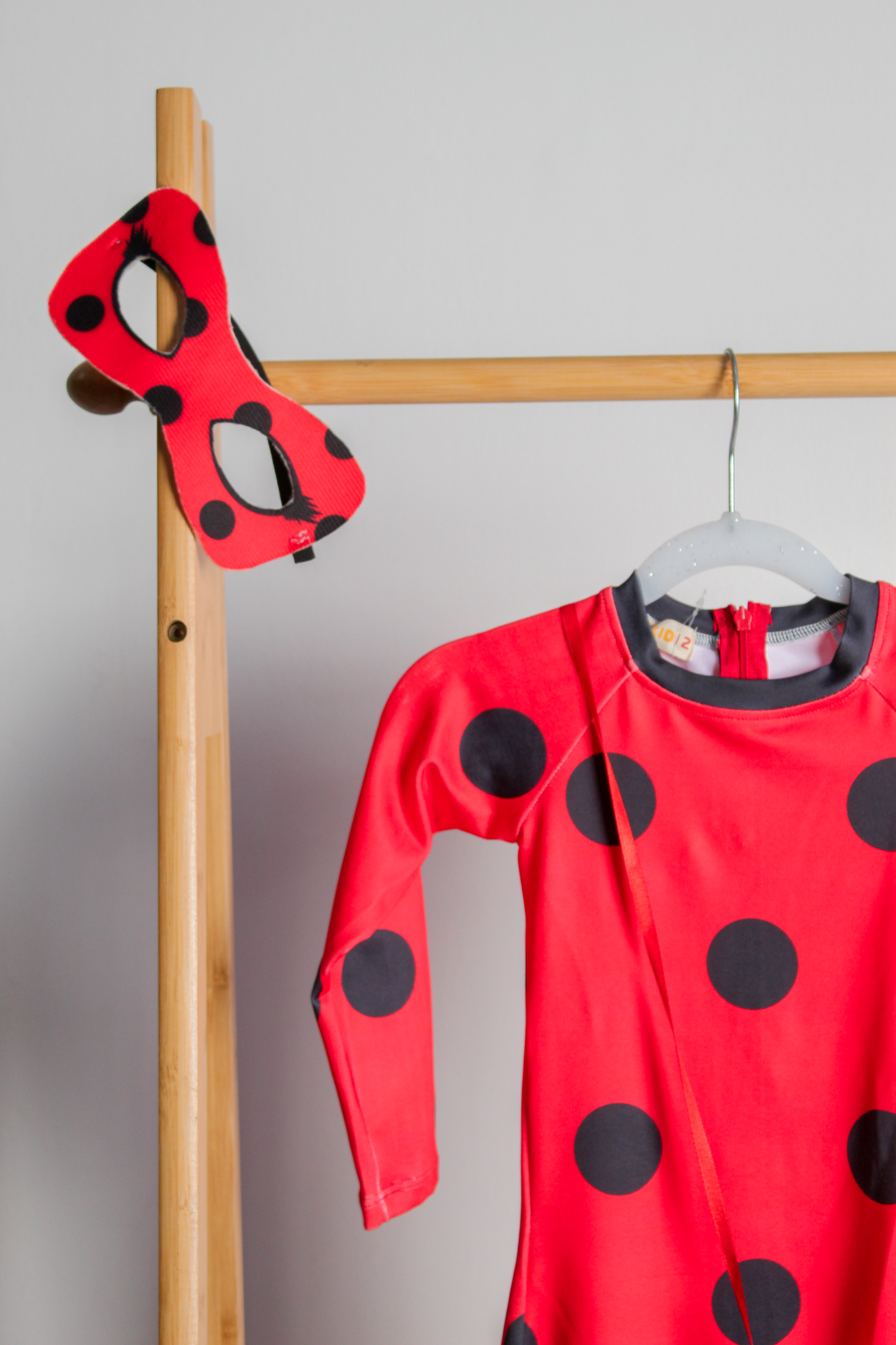 Disfraz Ladybug