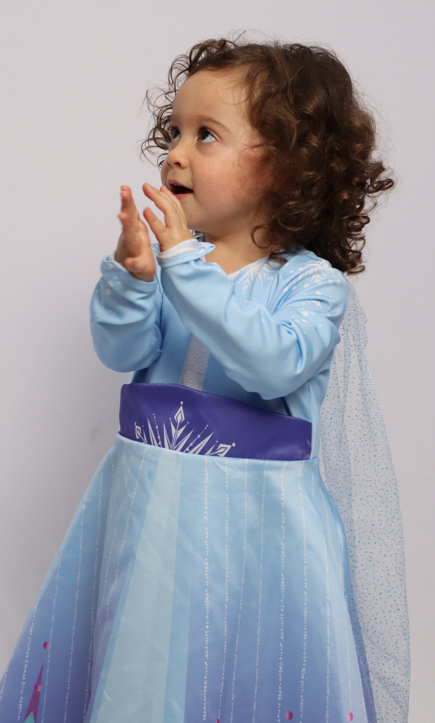 Disfraz Elsa de Frozen - Princesas Disney