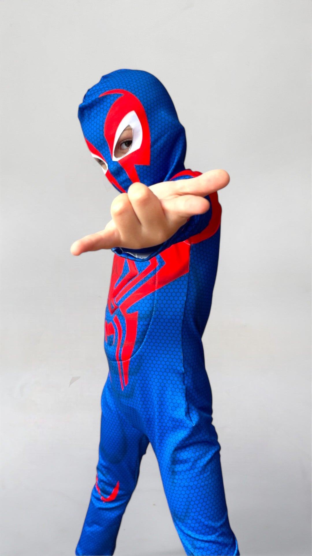 Disfraz Spiderman Titan Hero
